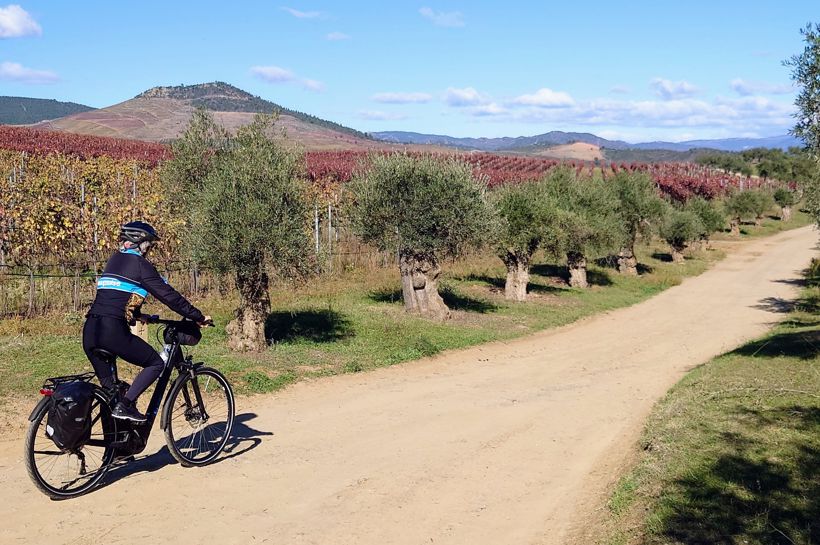 Maxpulse - aktive reiser Sykkeltur i Dourodalen, Sykkelturer på egenhånd